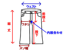 �p���c�̑����